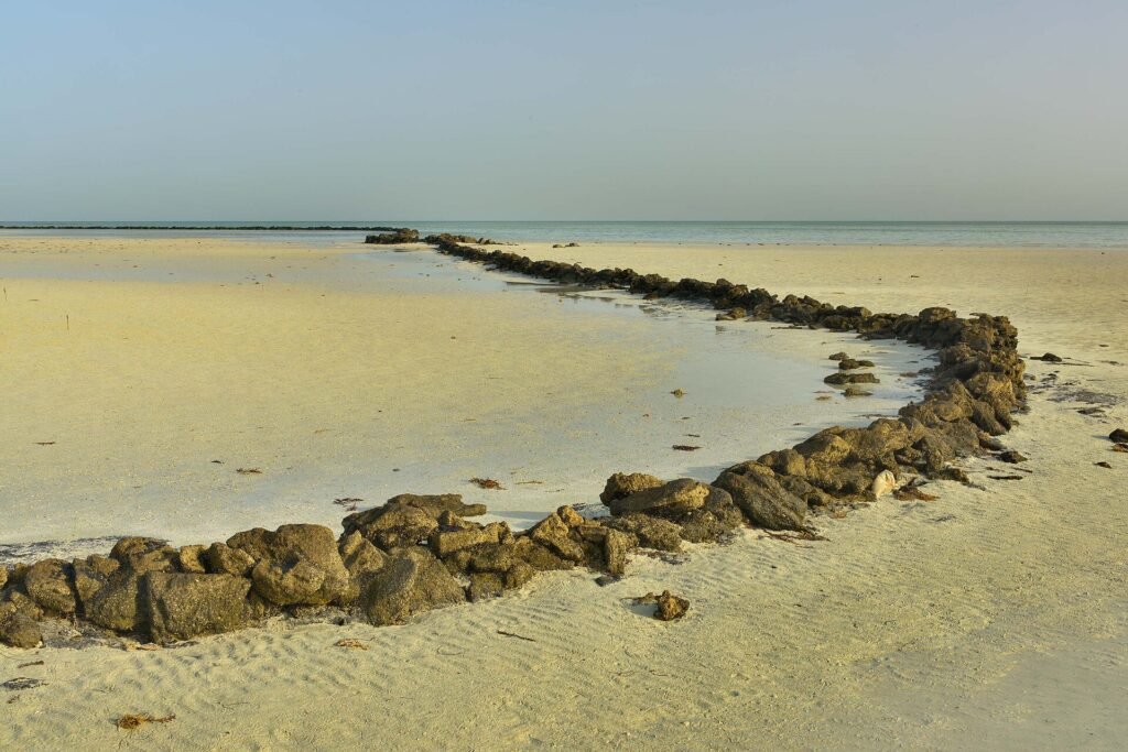 A long curved stone fish trap on the tidal flats at Al Arish