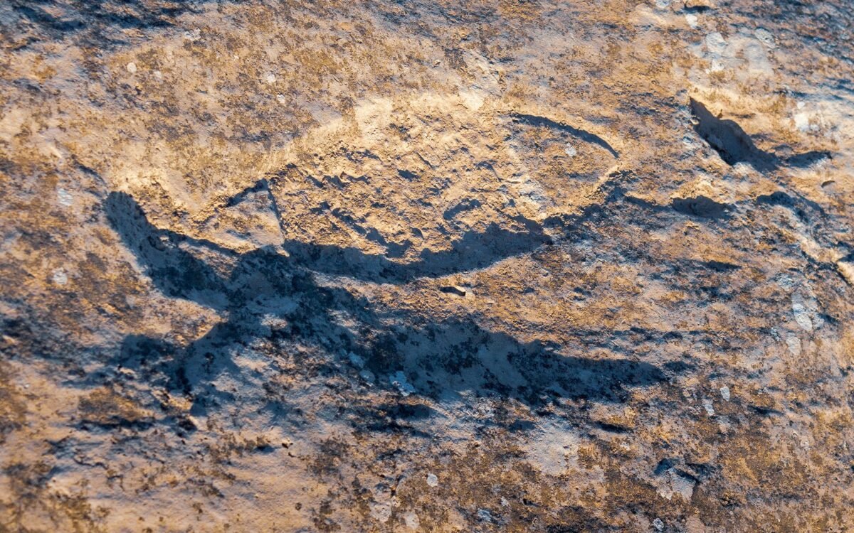 Al Jassasiya Rock Carvings, Al Shamal
