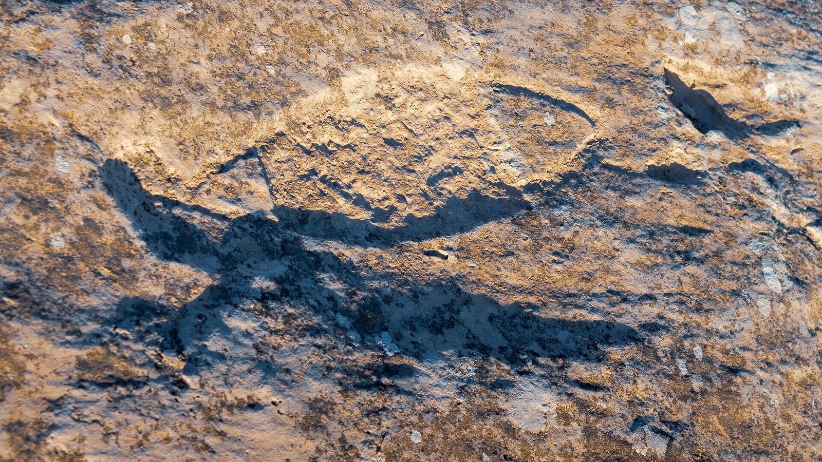 Al Jassasiya Rock Carvings, Al Shamal