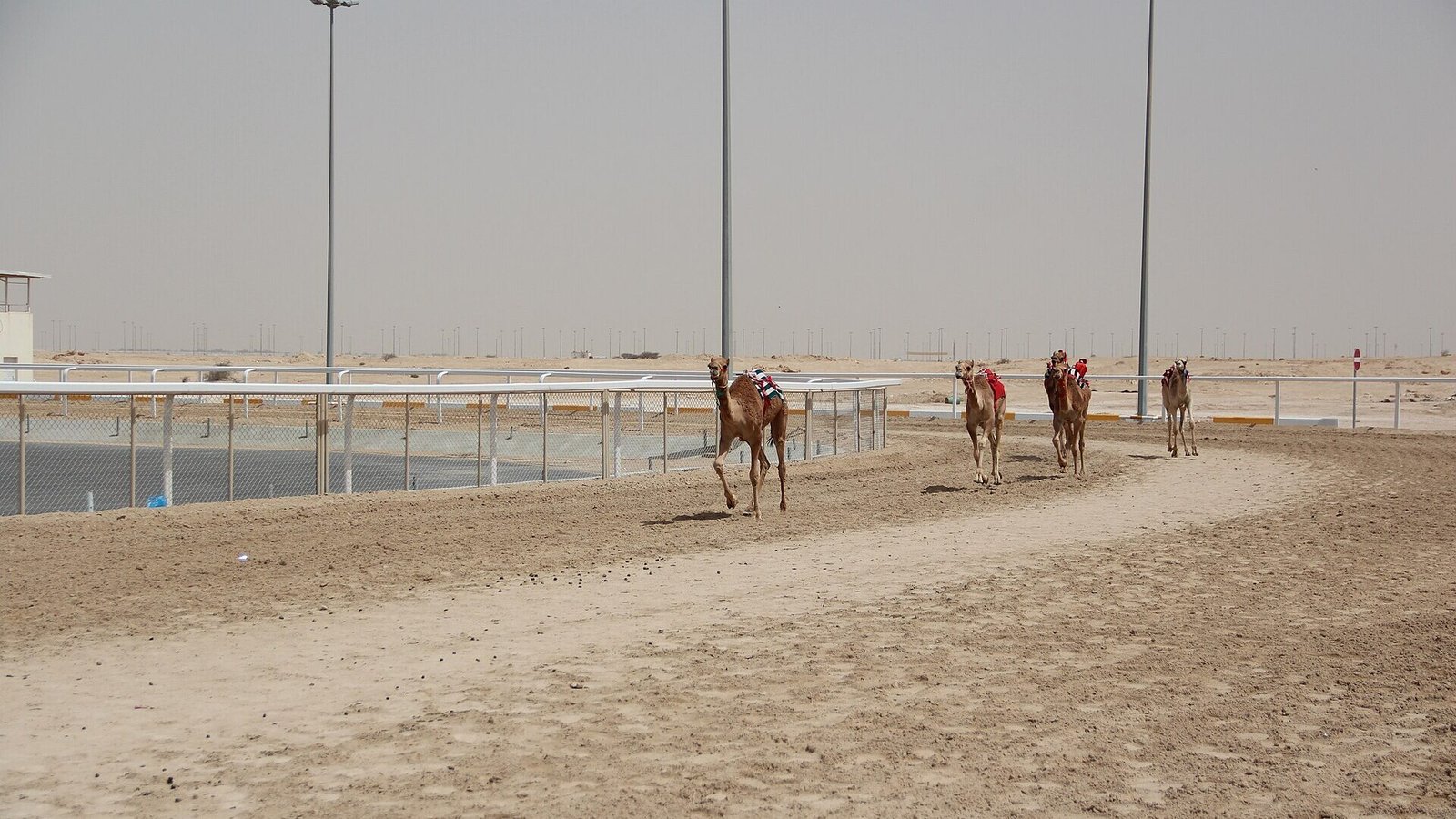 Al Shahaniya Camel Racetrack, Al Shahaniya