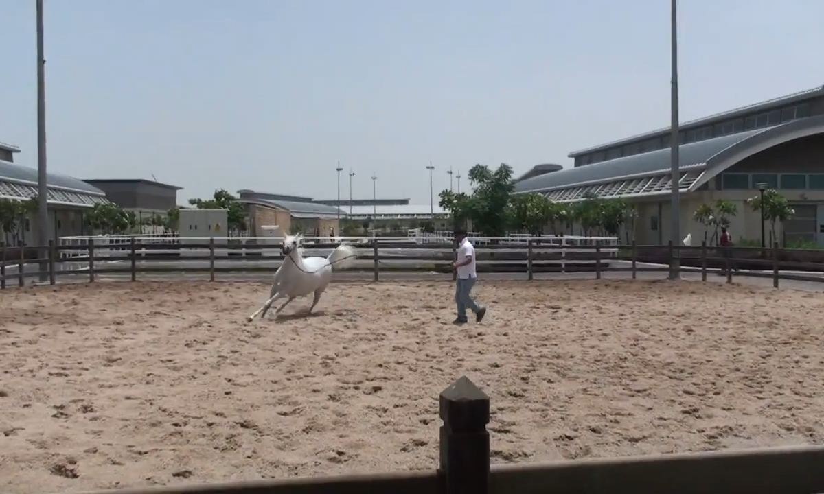 Al Shaqab Equestrian Centre, Al Rayyan