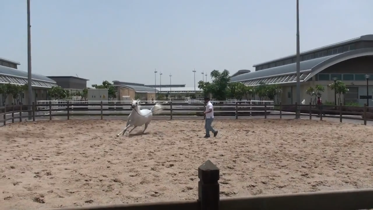 Al Shaqab Equestrian Centre, Al Rayyan