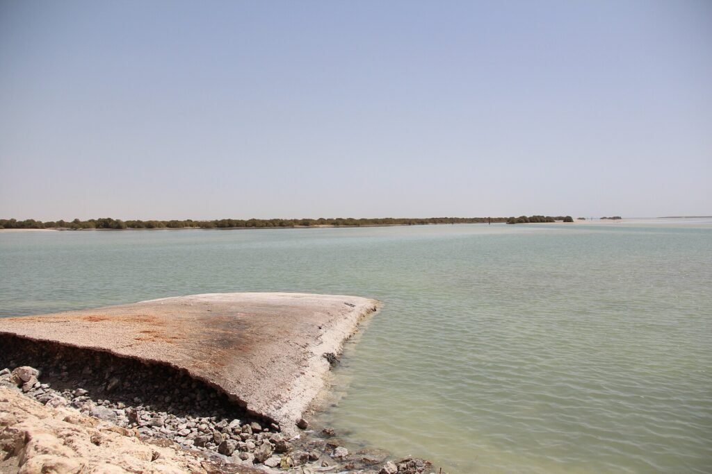 Mangrove forest seen across shallow water from Al Thakhira beach