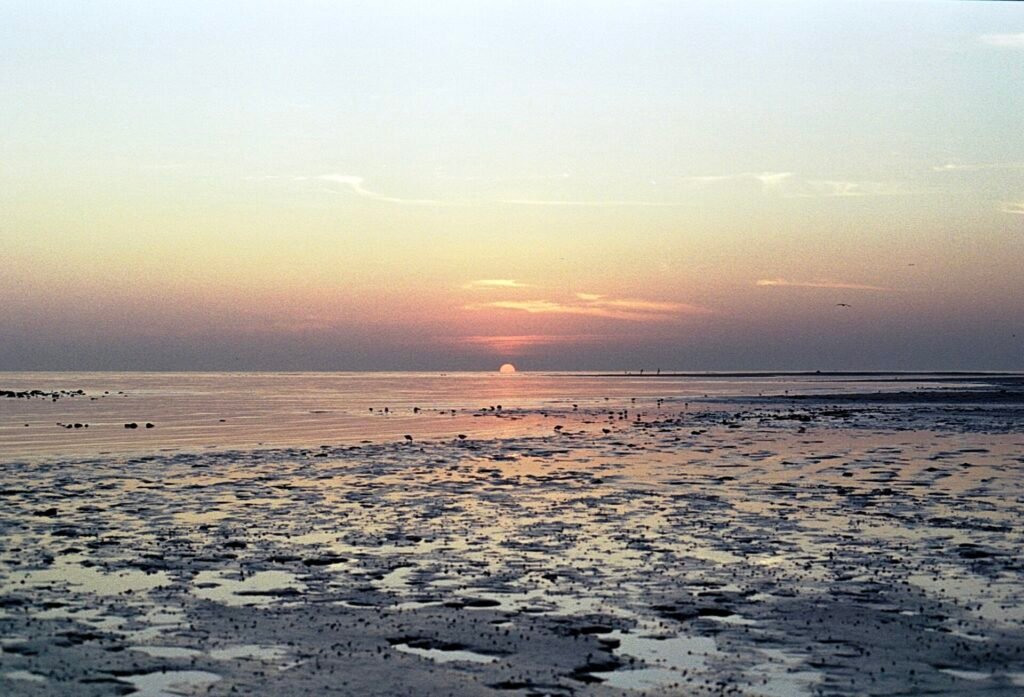 Sunrise over the shallow, rocky shore of Al Wakrah beach at low tide