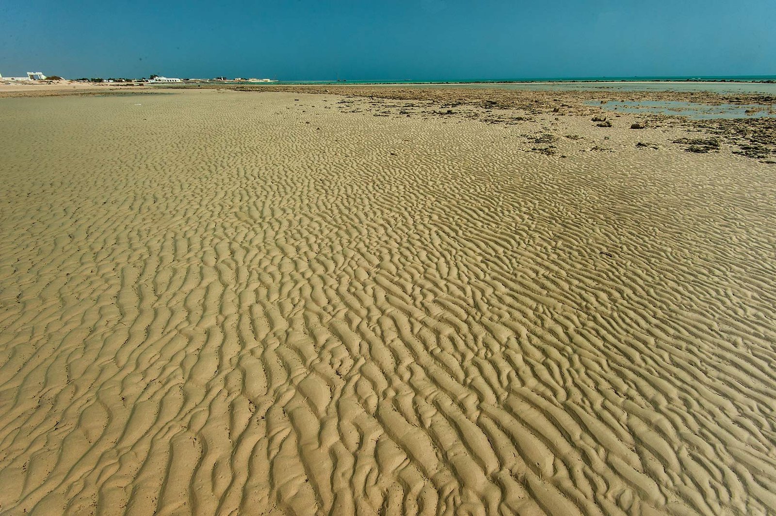 Rippled sand at low tide at French Beach near Al Maroona, north-east Qatar