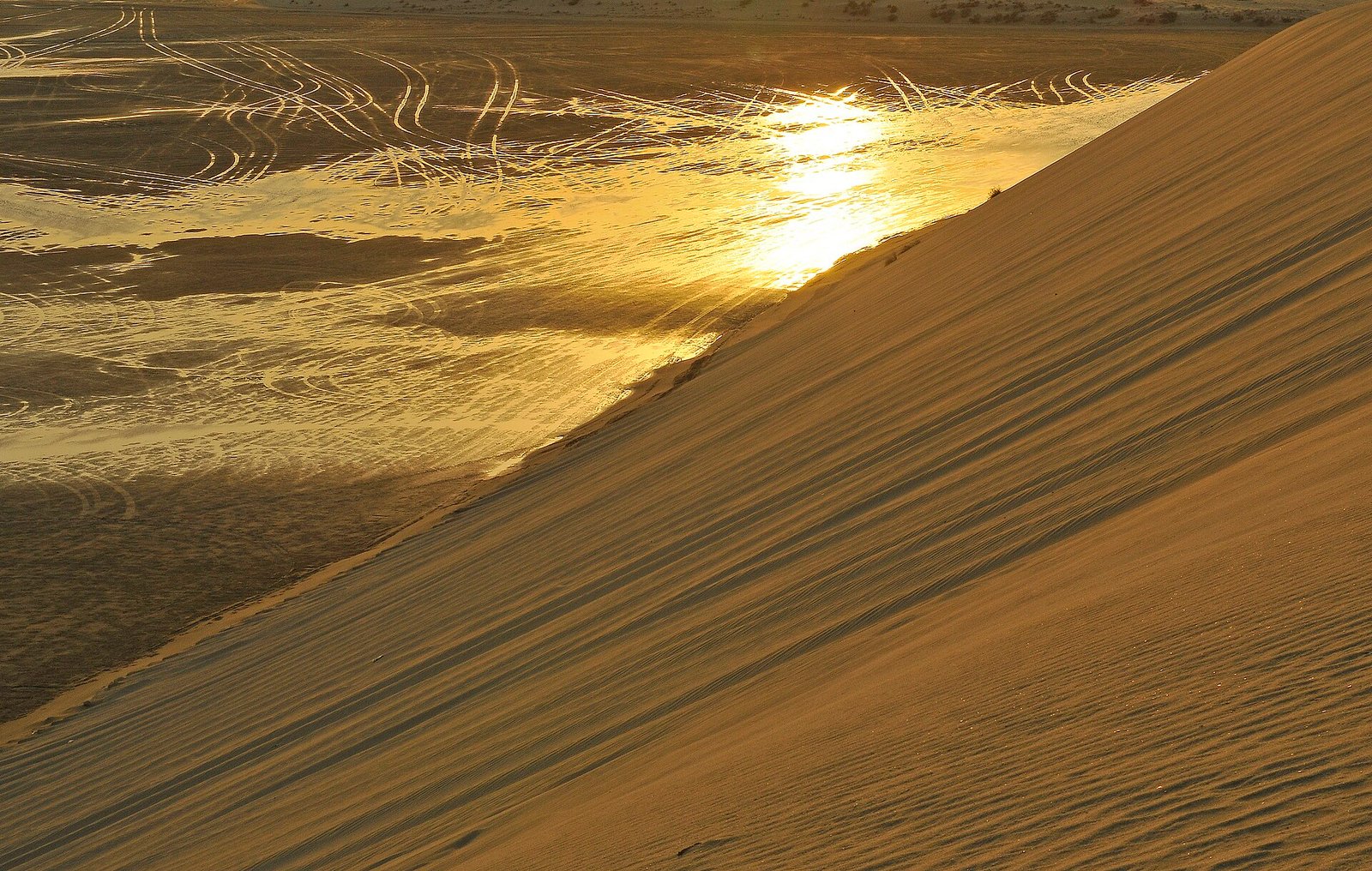 Golden late-afternoon light on a sand dune above the Inland Sea at Khor Al Adaid, southern Qatar