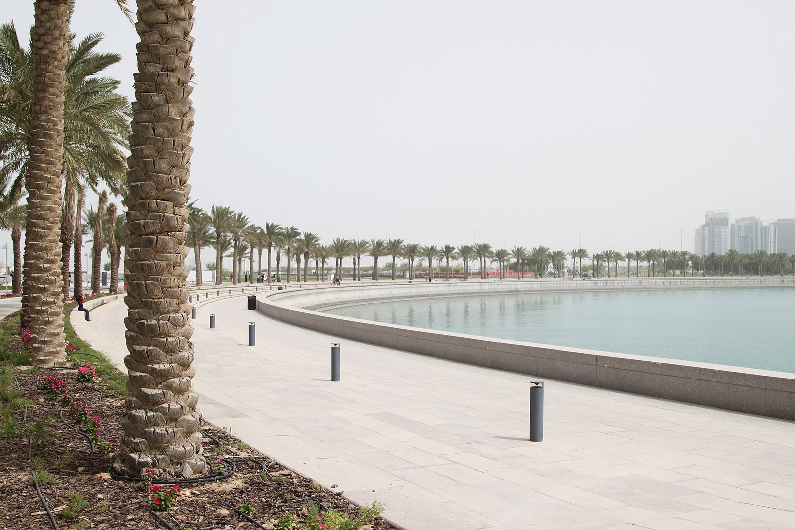 Wide paved promenade and sea wall on the Doha Corniche lined with palm trees