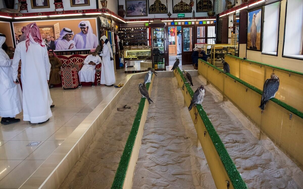 Falcon Souq & Falcon Hospital, Souq Waqif