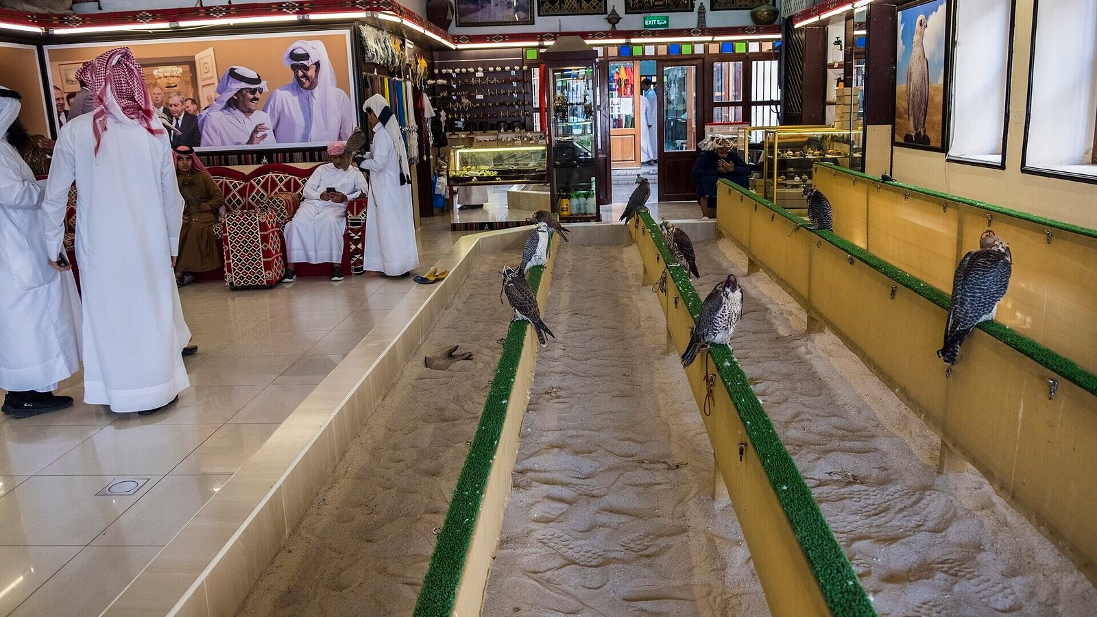 Falcon Souq & Falcon Hospital, Souq Waqif