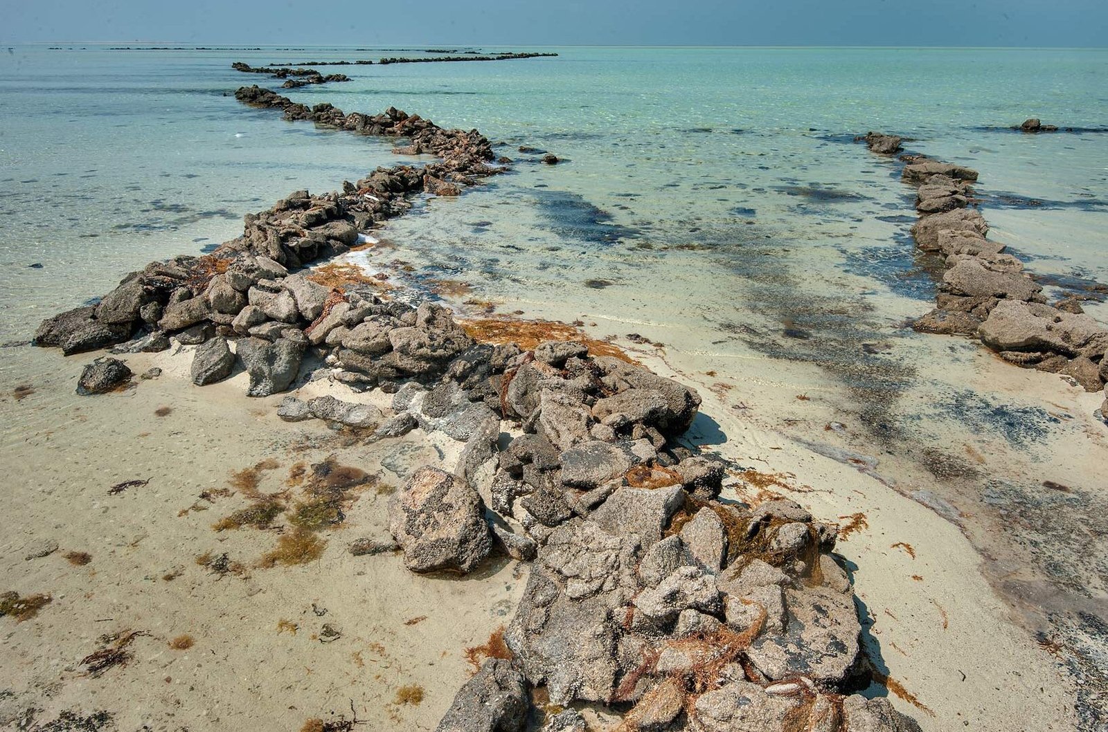 Freiha Archaeological Site, Al Shamal