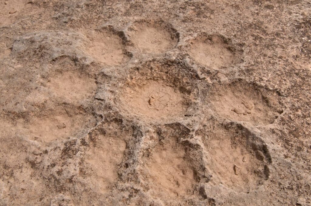 Rosette-patterned cup marks carved into the rock at Jebel Fuwairit
