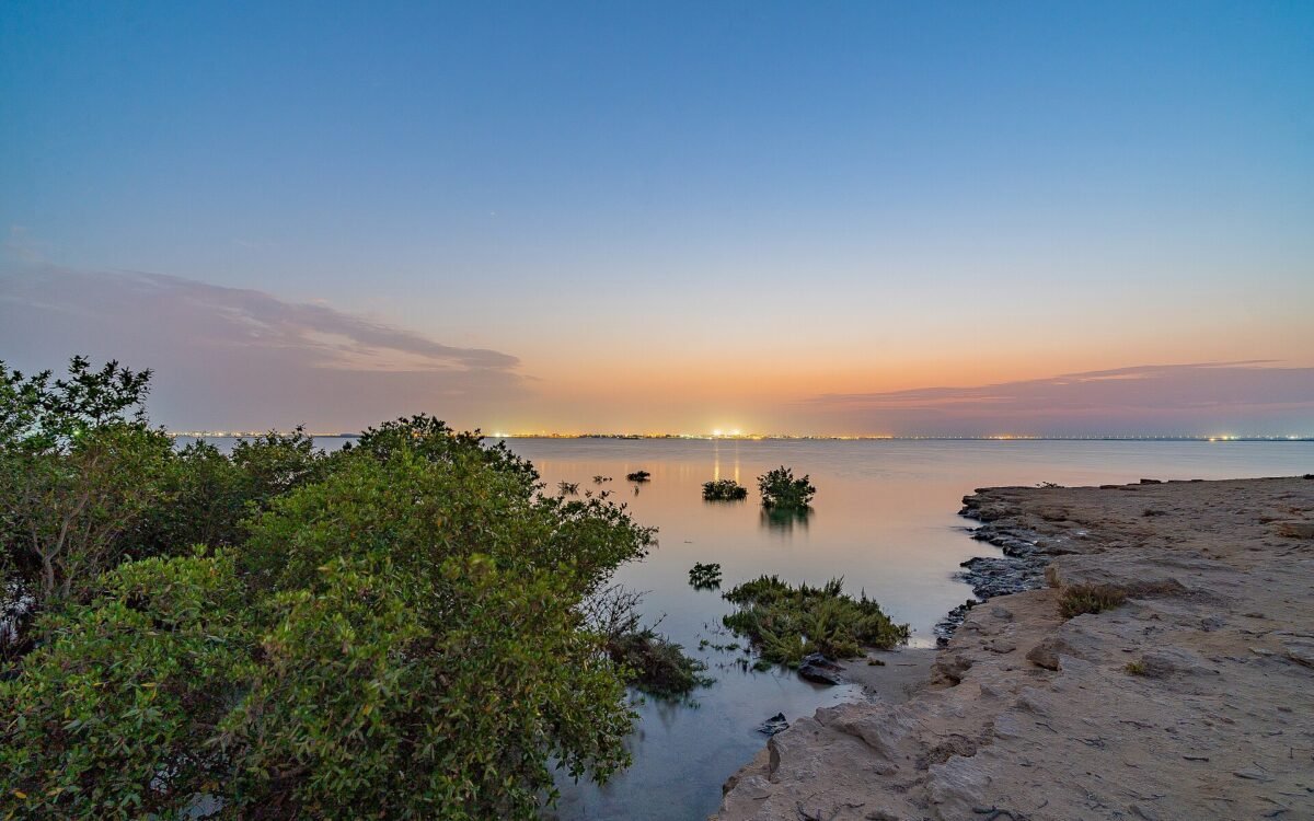 Purple Island (Jazirat Bin Ghanim), Al Khor