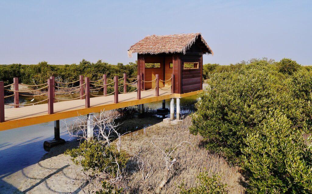 Wooden walkway and shaded shelter among the mangroves on the way to Purple Island