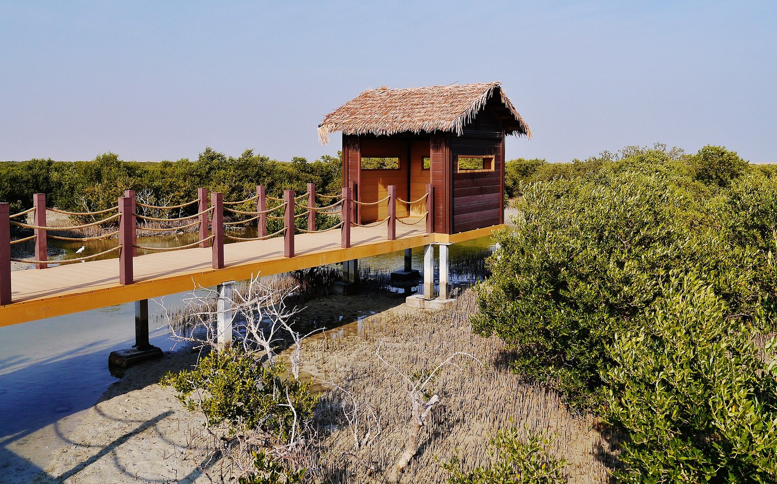 Wooden walkway and shaded shelter among the mangroves on the way to Purple Island