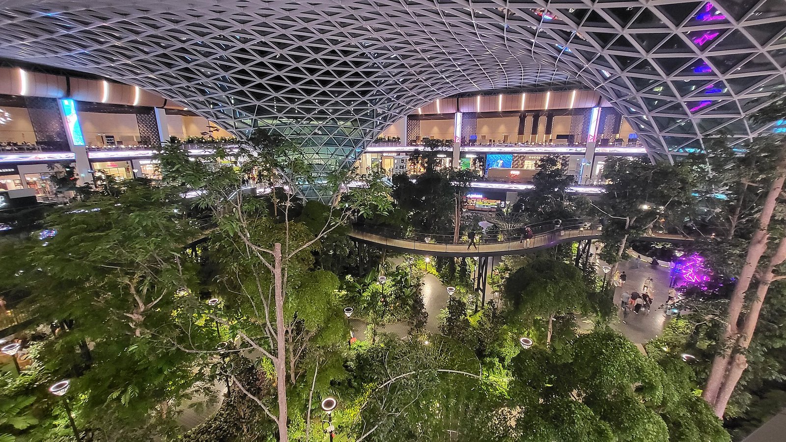 Indoor tropical trees and a walkway inside The Orchard garden at Hamad International Airport