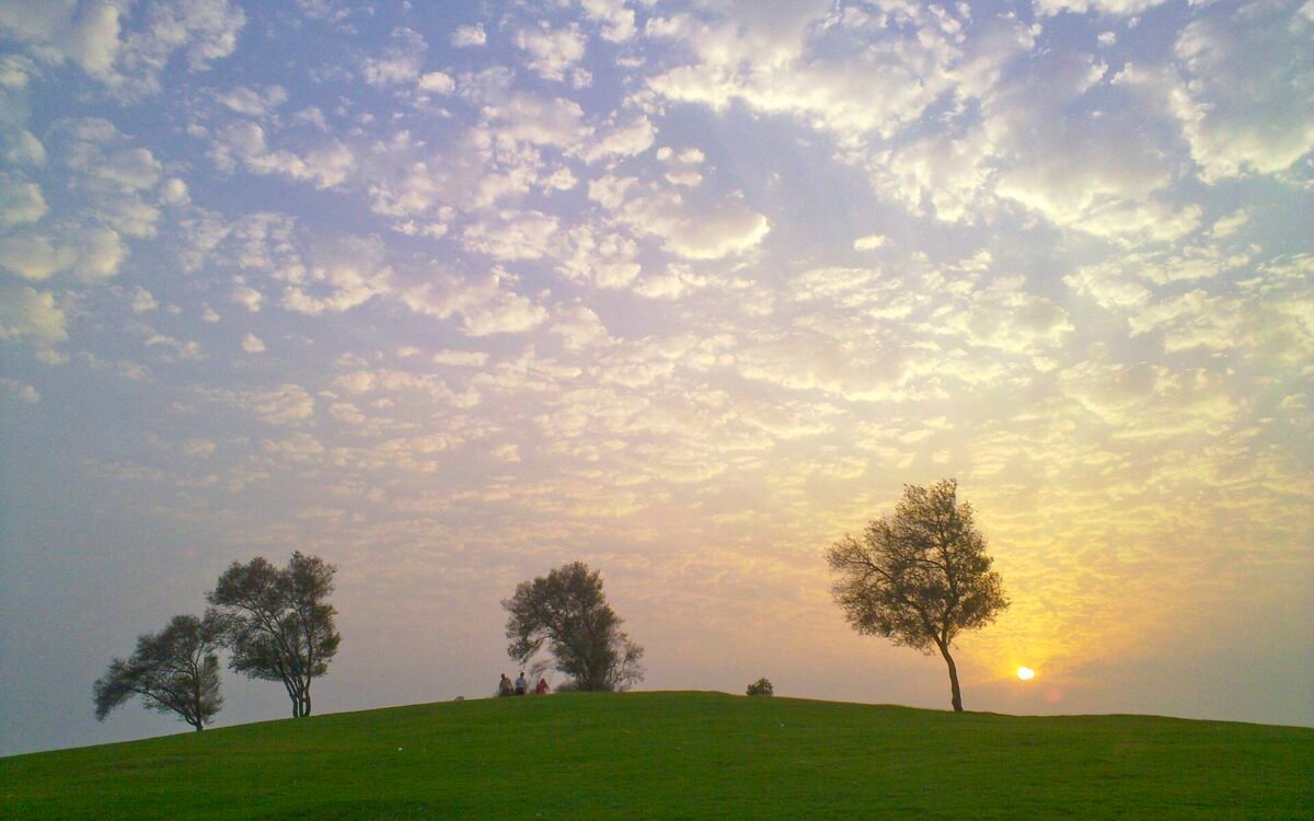 Trees on a grassy hill at sunset in Aspire Park, Doha