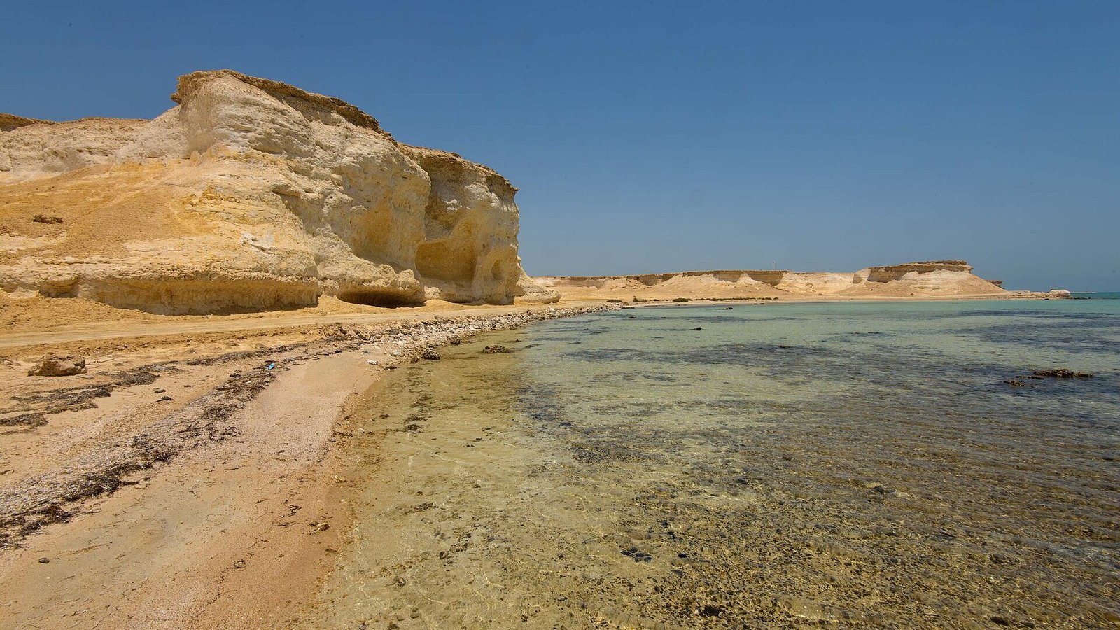 Ras Abrouq & Al Reem Biosphere Reserve, Zekreet Peninsula