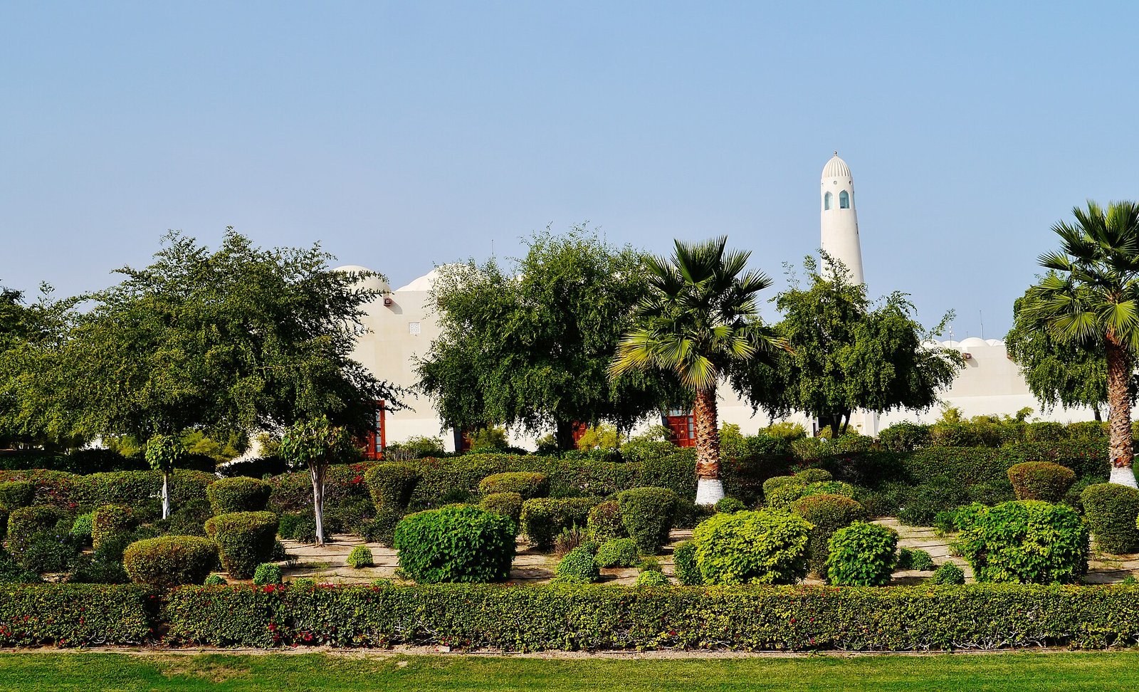 Rows of small white domes along the State Grand Mosque in Doha behind palm trees and lawns